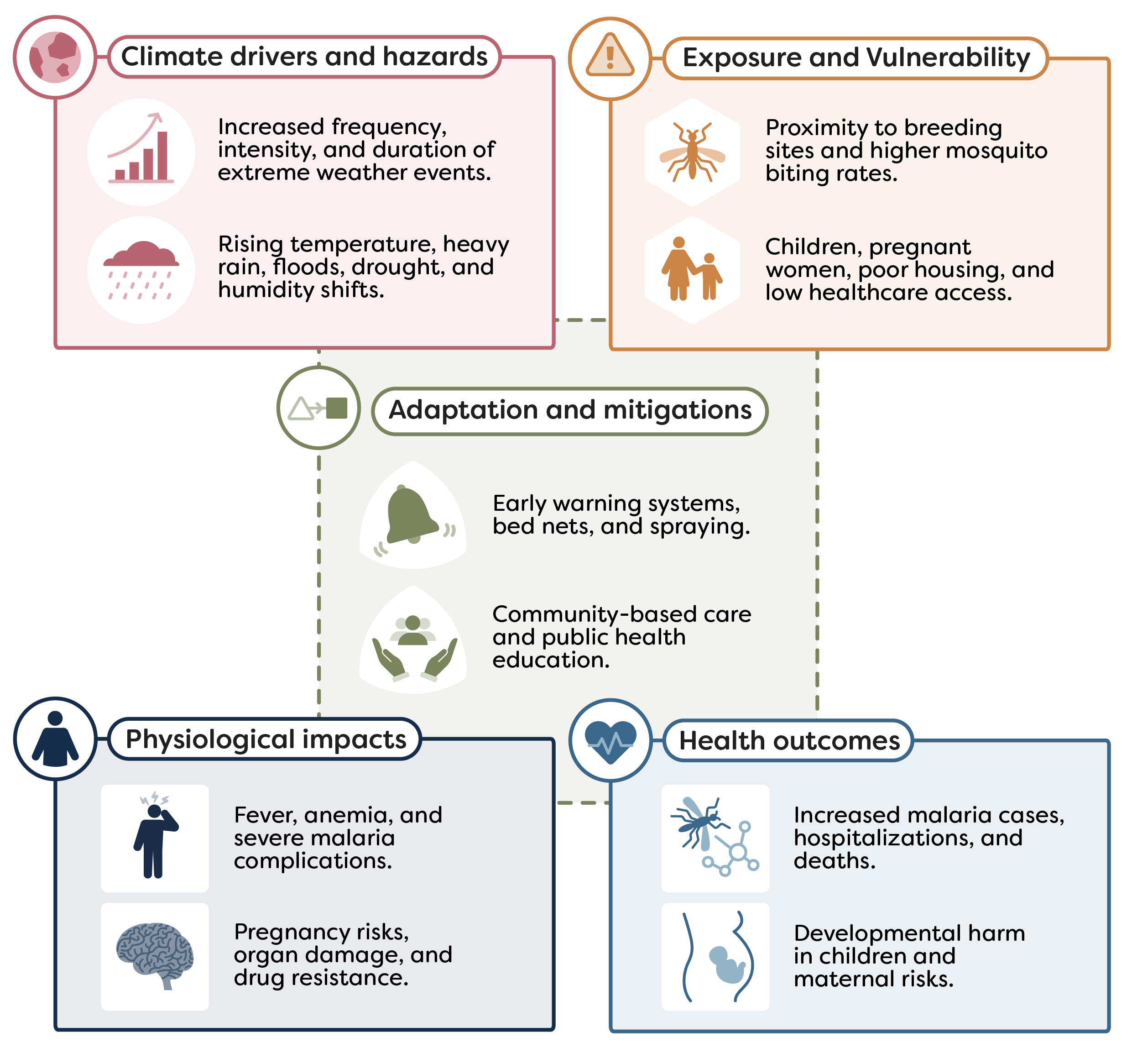 Vector-borne illustration